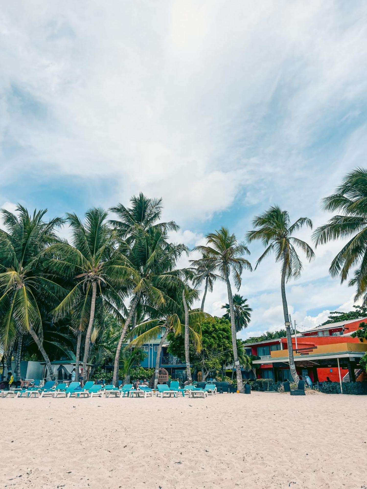 Hotel Cocoplum Beach San Andrés Dış mekan fotoğraf