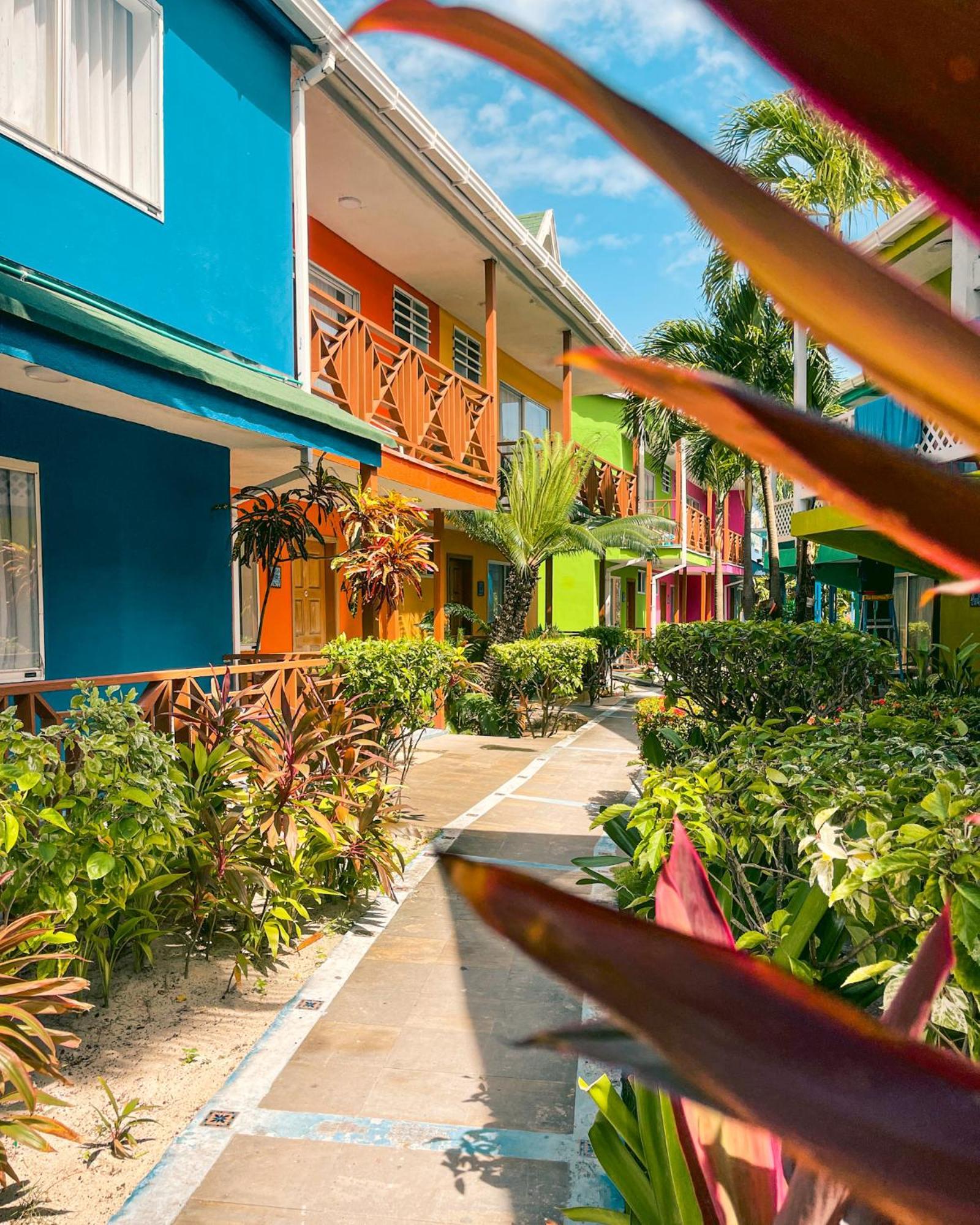 Hotel Cocoplum Beach San Andrés Dış mekan fotoğraf